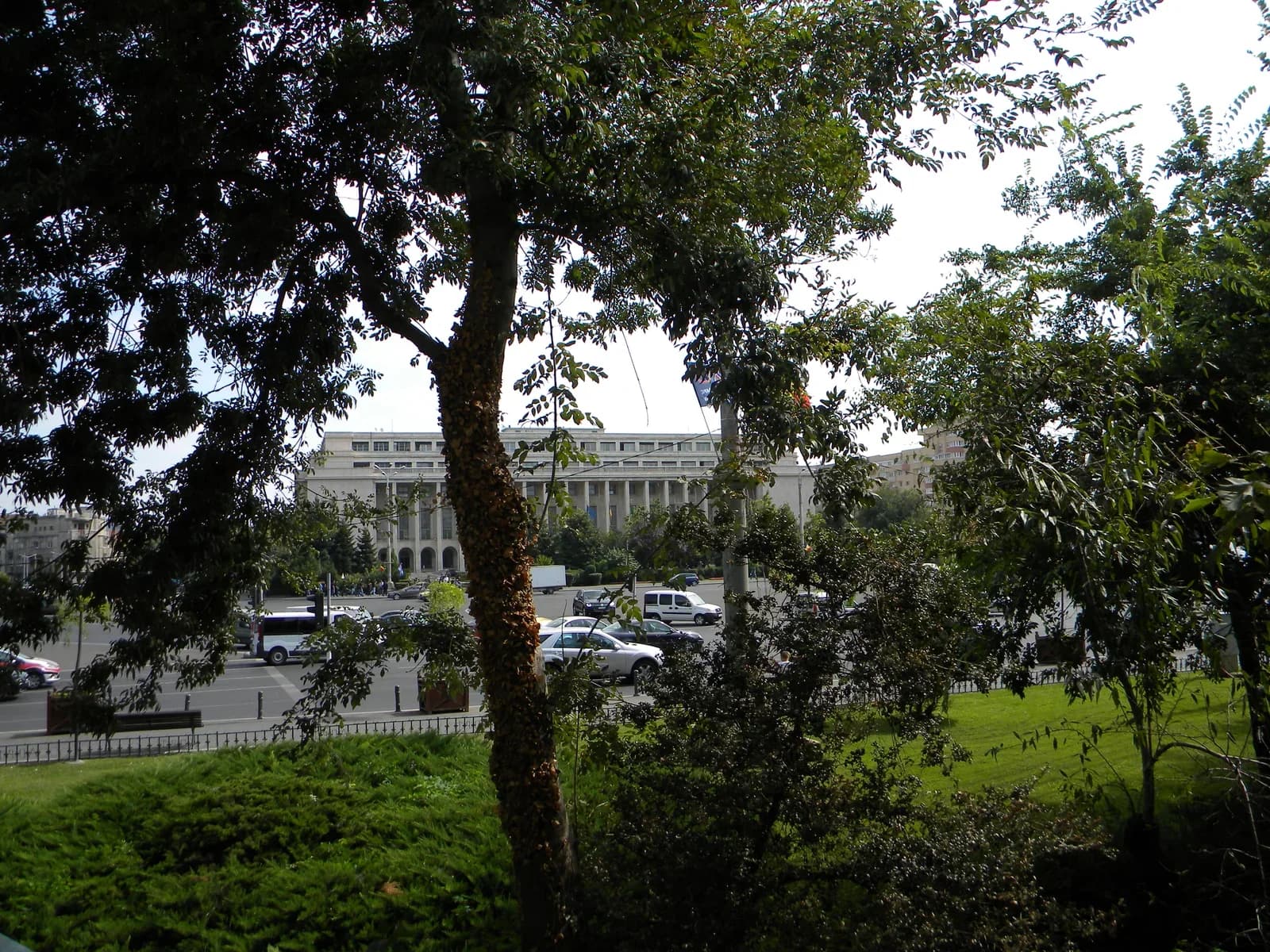 Palatul Victoria, sediul Guvernului României, văzut printre copaci.